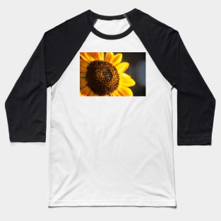 Sunflower Series VIII Baseball T-Shirt